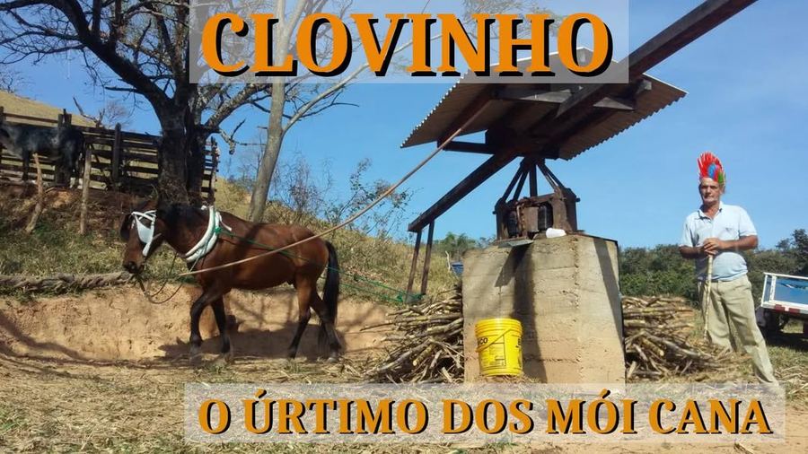 O CHIQUE NO ÚRTIMO
