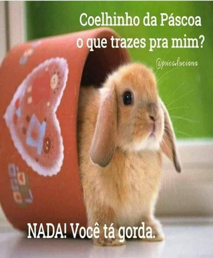 CREDO! POR QUE RESPONDER COM GROSSERIA