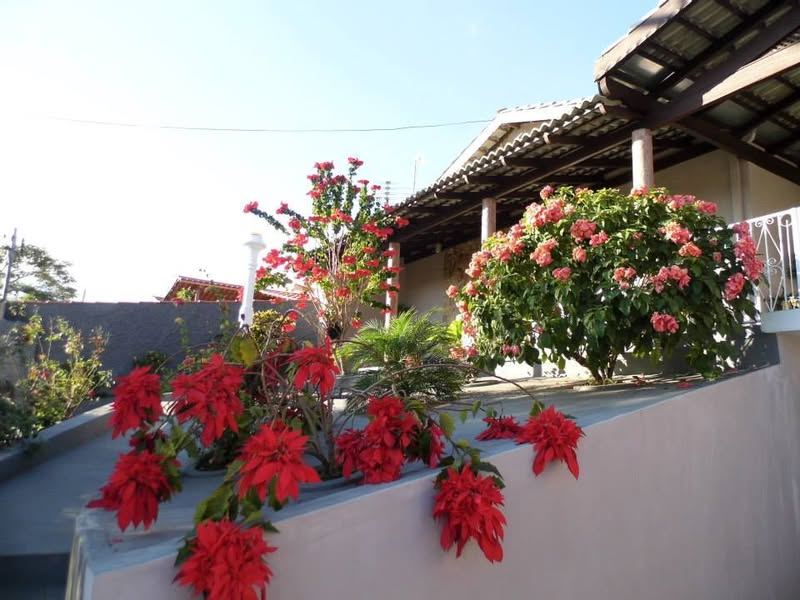 ALGUÉM TEM NOTÍCIA DA LEILA MAIA? A CASA ESTÁ FECHADA HÁ UM MÊS E NING...