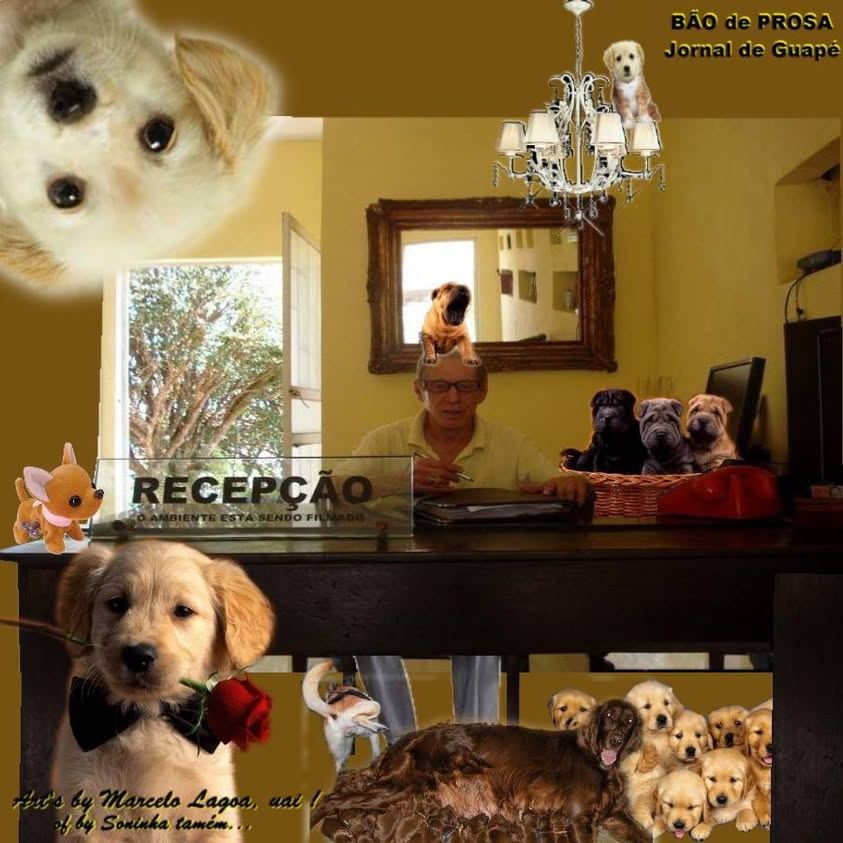 OS CACHORRINHOS DO WANDERLEY