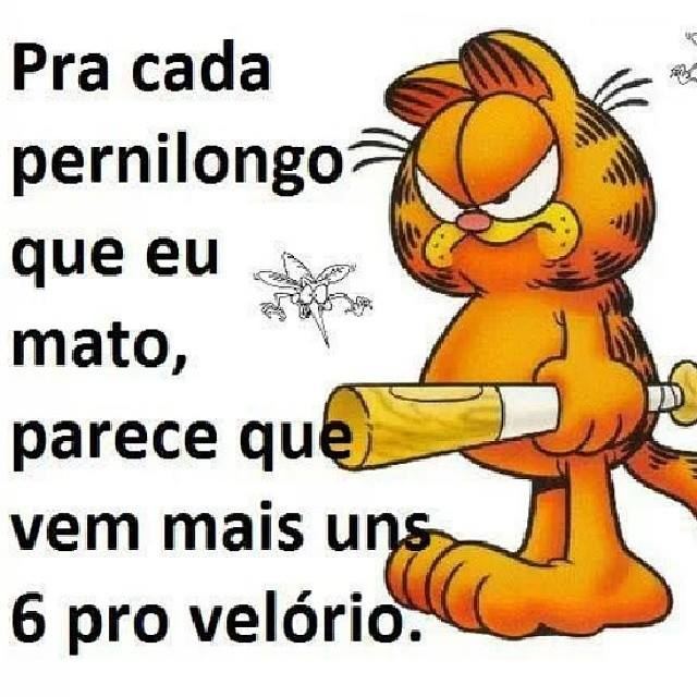 Causo de 2013-12-11