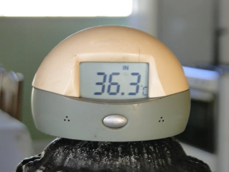 HOJE, 03.01.14 ÀS 16:00 HORAS