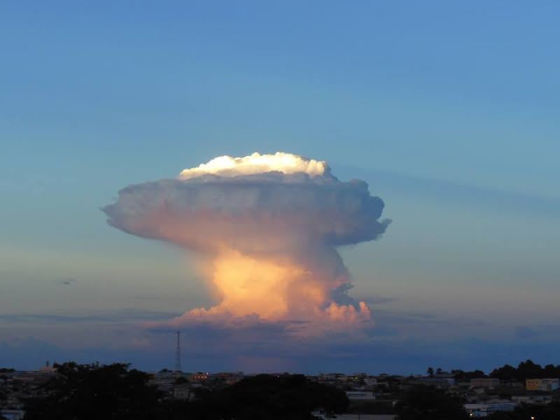 FRANCA naquele fim de tarde de 11 de janeiro enfeitou-se de todas as c...