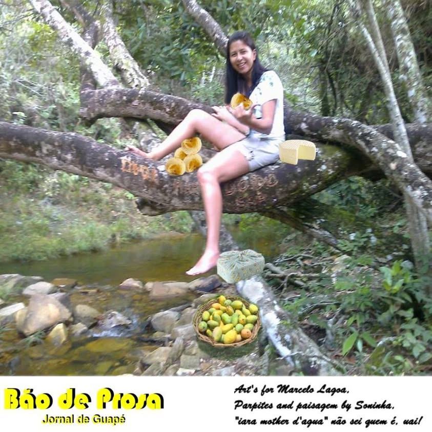 ISSO É GUAPÉ...E A CLÁUDIA TRANQUILA NUM GALHO DE ÁRVORE  COME SUAS FR...