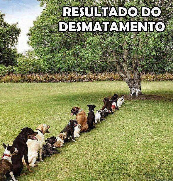 Causo de 2014-04-12