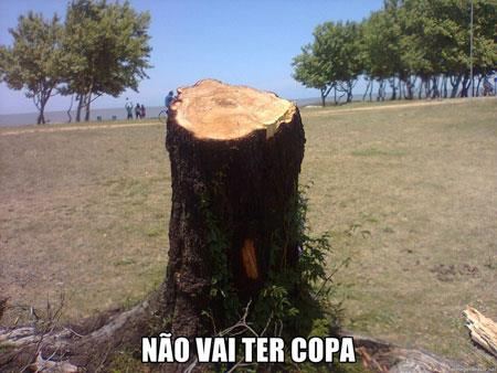 D. ASSUNTA VIDENTE APARENTE TAMÉM AFIRMÔ