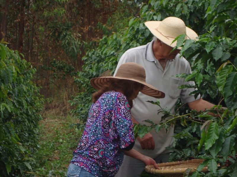 ''Meu cafezal em flor...Quanta flor meu cafezal