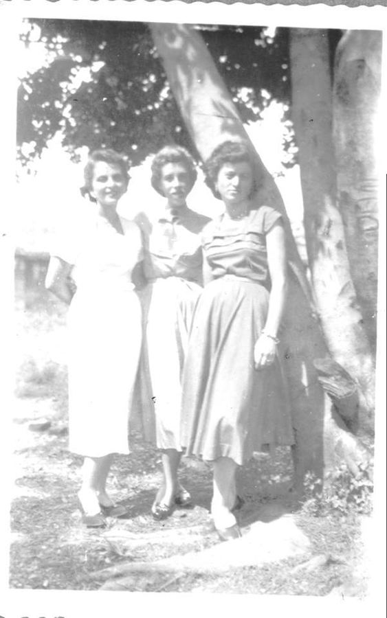 TRÊS LINDAS MOCINHAS PROFESSORINHAS