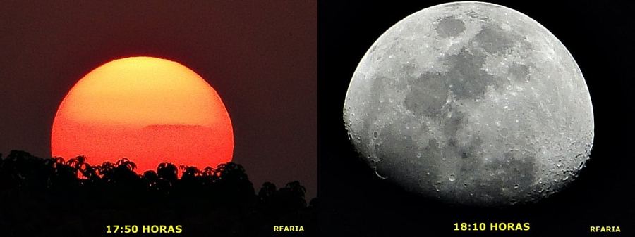 MAIS UM RETRATO DE RENATO FARIA